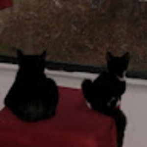 Meet your Posher, Ralph